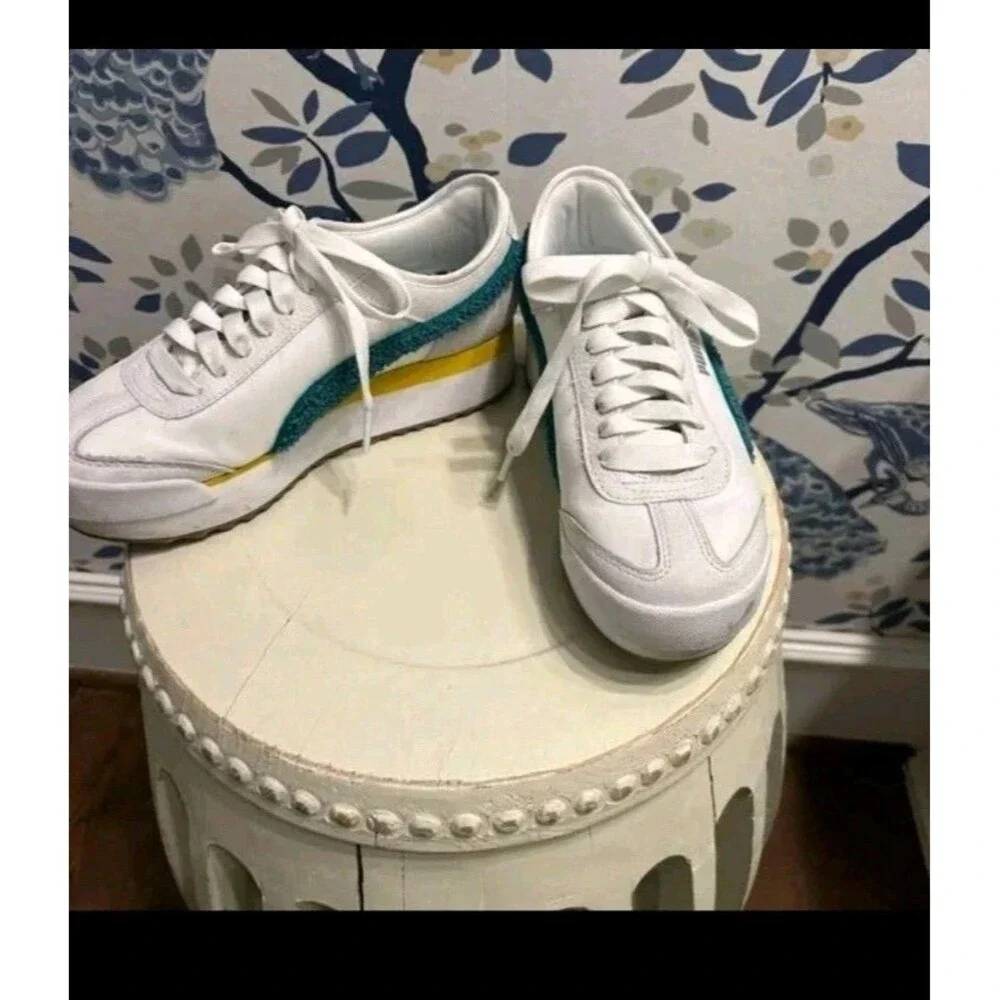 Puma roma amor
